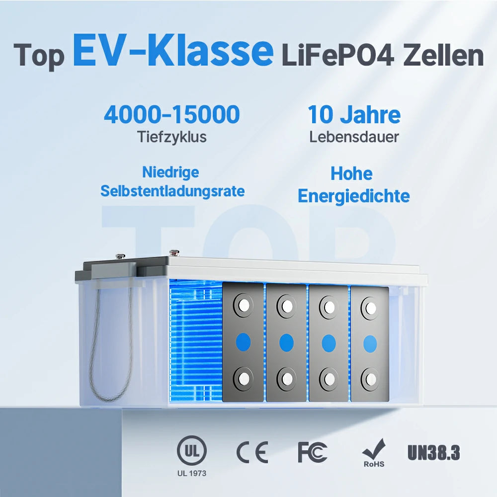Redodo LiFePO4 12V 300Ah Batterie Akku BMS