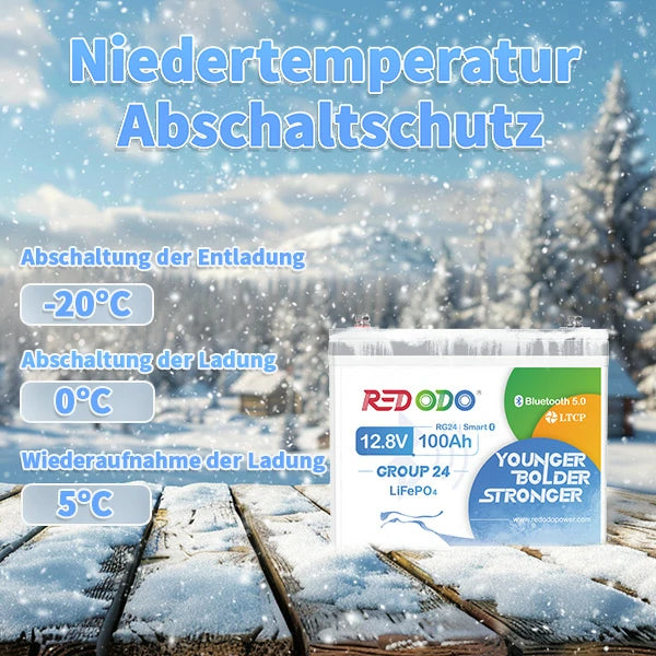 Redodo LiFePO4 12V 100Ah Batterie Akku BMS Bluetooth (Gruppe 24)