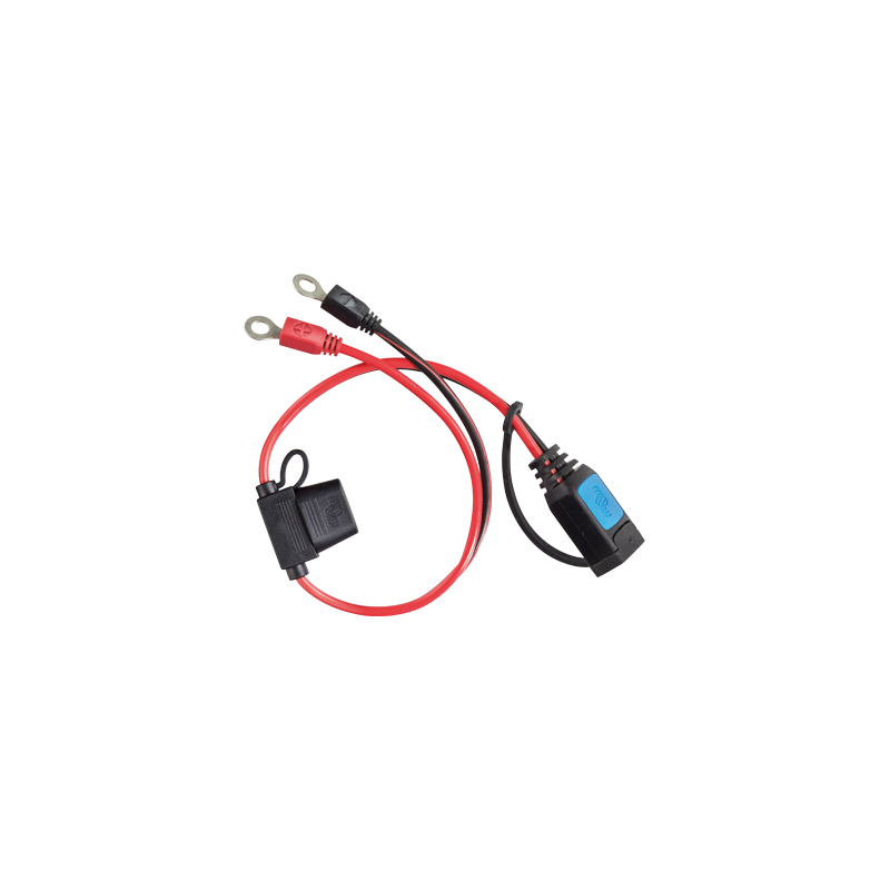 Victron DC Anschlusskabel Steckverbinder M6 für BlueSmart Ladegeräte – Marine Infinite Shop
