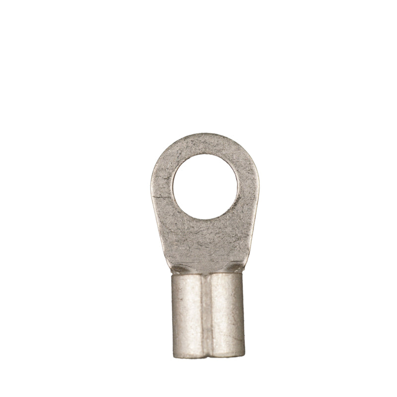 WATTSTUNDE® Ringkabelschuh 10 mm² M6 25 Stk. – Marine Infinite Shop (2/2)