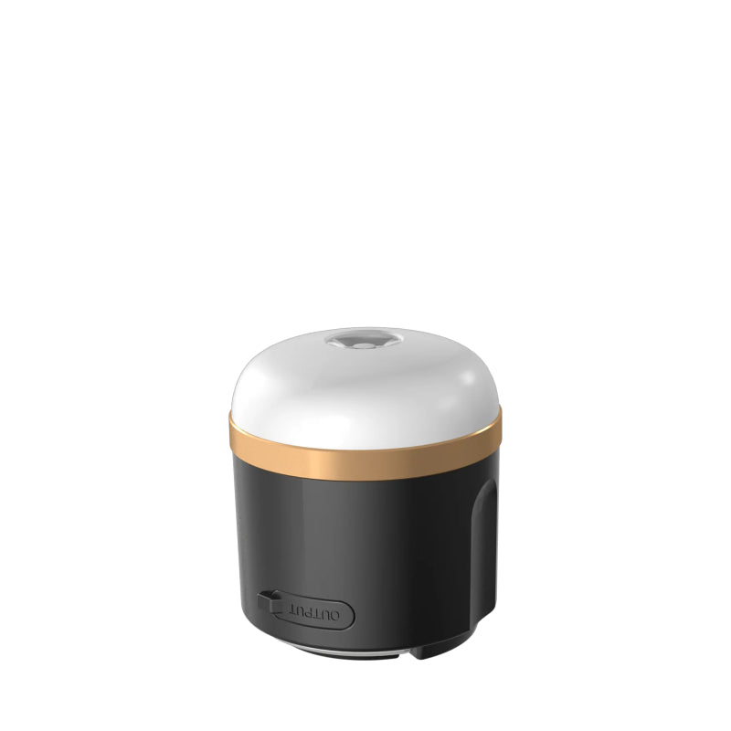 EcoFlow Camping Lampe – Marine Infinite Shop (1/4)