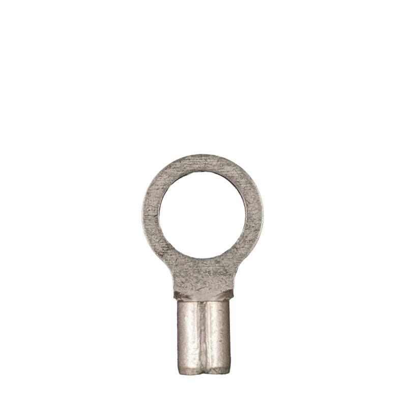 WATTSTUNDE® Ringkabelschuh 4 mm² M8 25 Stk. – Marine Infinite Shop (2/2)